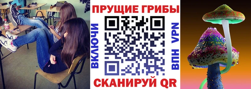 OMG как войти  сколько стоит  Северо-Курильск  Галлюциногенные грибы MAGIC MUSHROOMS 